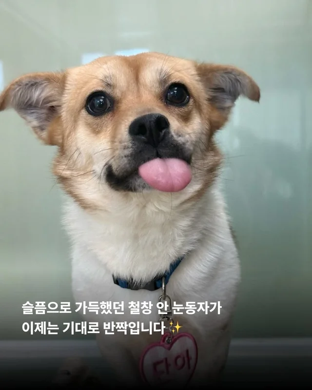 논산에서 온 조금 특별한 안부 현장 사진