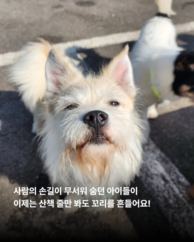 논산에서 온 조금 특별한 안부 현장 사진