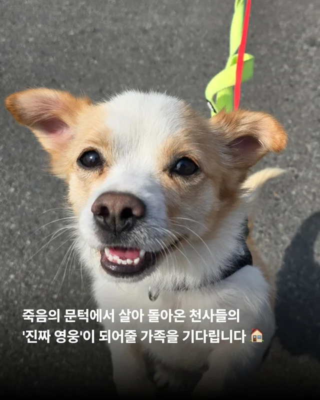논산에서 온 조금 특별한 안부 현장 사진