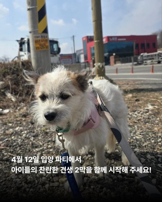 논산에서 온 조금 특별한 안부 현장 사진