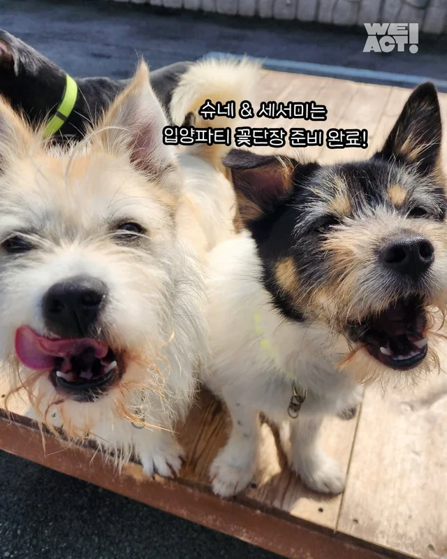 논산에서 온 조금 특별한 안부 현장 사진