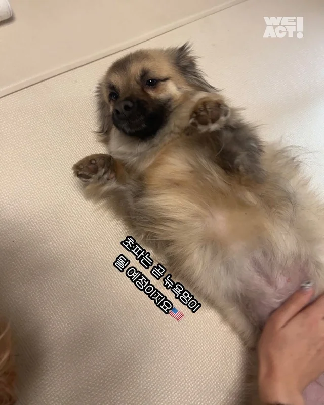 논산에서 온 조금 특별한 안부 현장 사진