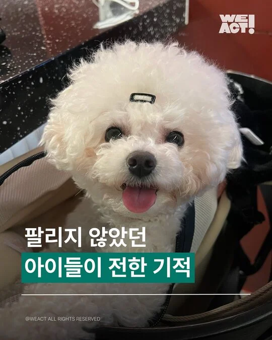 팔리지 않았던 아이들이 전한 기적 현장 사진