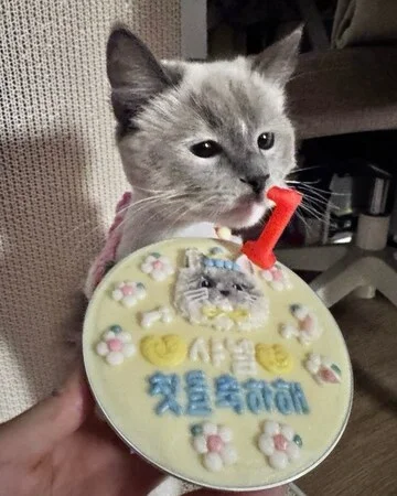 팔리지 않았던 아이들이 전한 기적 현장 사진