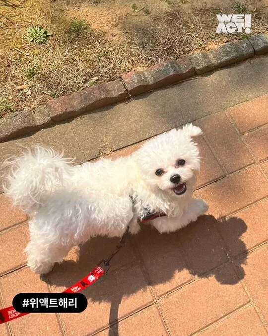팔리지 않았던 아이들이 전한 기적 현장 사진