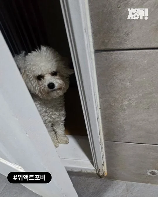 팔리지 않았던 아이들이 전한 기적 현장 사진