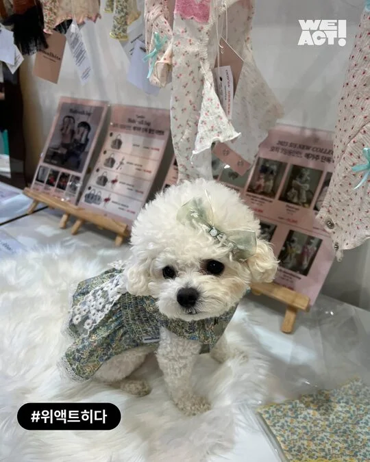 팔리지 않았던 아이들이 전한 기적 현장 사진