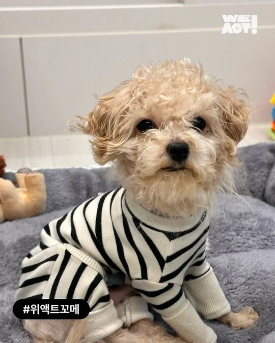팔리지 않았던 아이들이 전한 기적 현장 사진