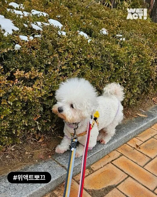 팔리지 않았던 아이들이 전한 기적 현장 사진