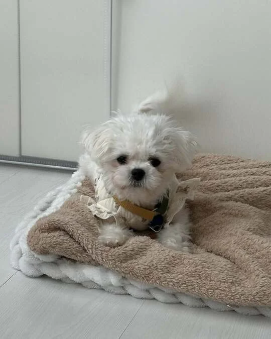 팔리지 않았던 아이들이 전한 기적 현장 사진