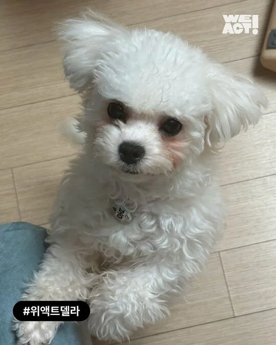 팔리지 않았던 아이들이 전한 기적 현장 사진