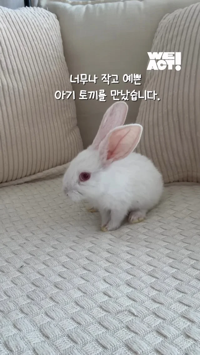 사랑에 빠진 순간 현장 사진