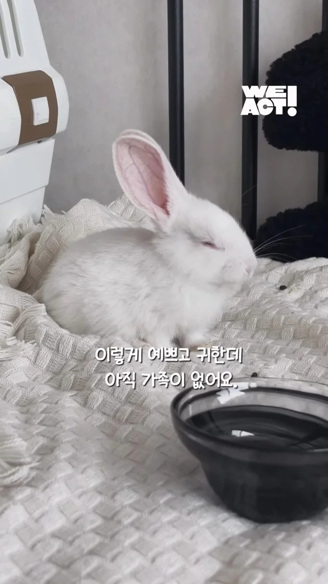 사랑에 빠진 순간 현장 사진