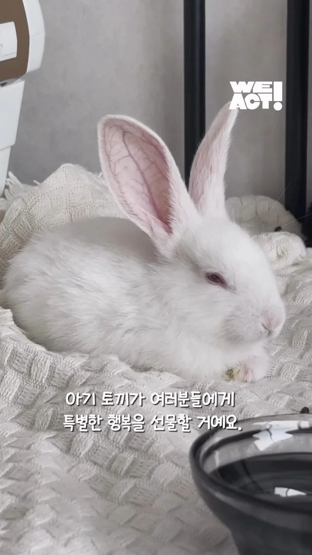 사랑에 빠진 순간 현장 사진