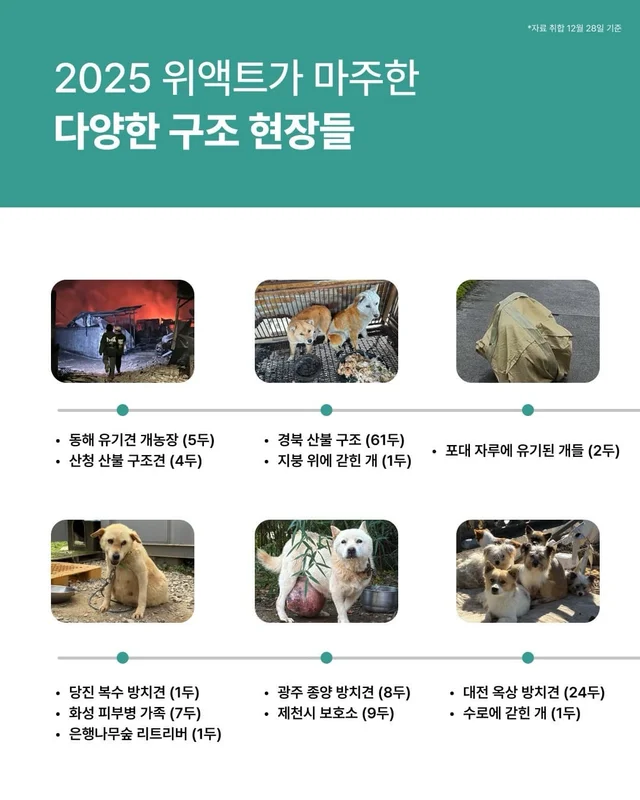 2025 위액트와 여러분들이 함께 만든 기적 ! 현장 사진