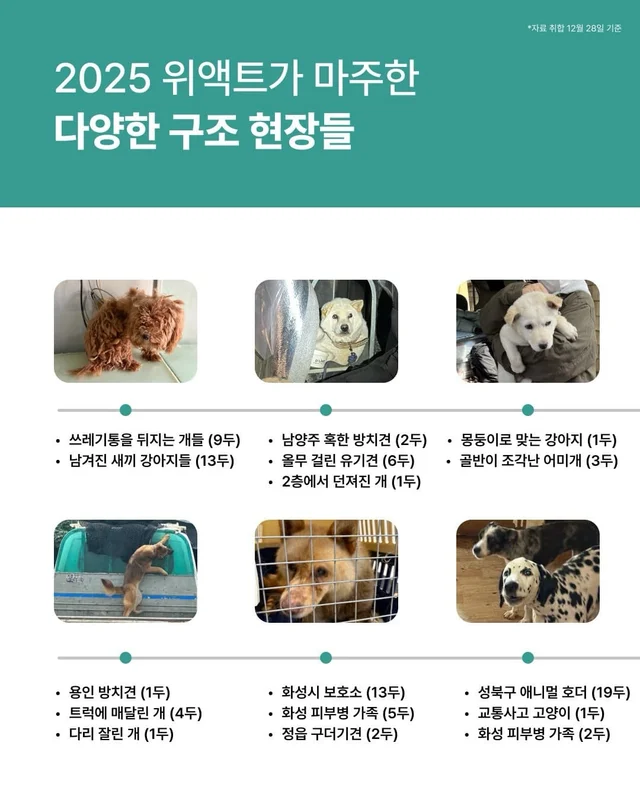 2025 위액트와 여러분들이 함께 만든 기적 ! 현장 사진