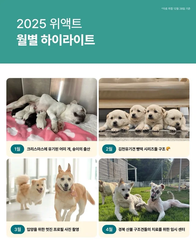 2025 위액트와 여러분들이 함께 만든 기적 ! 현장 사진
