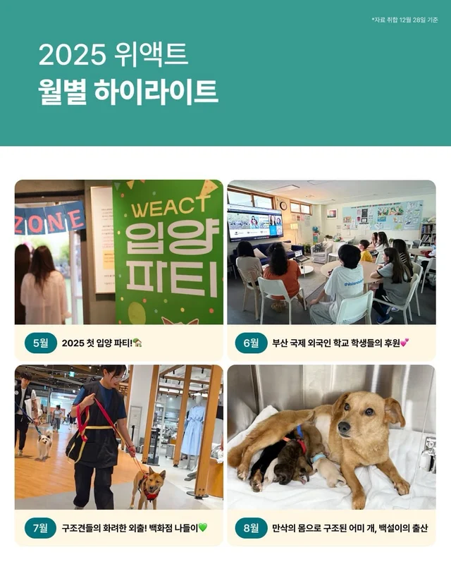 2025 위액트와 여러분들이 함께 만든 기적 ! 현장 사진