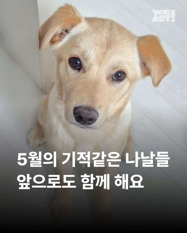 5월의 기적같은 나날 현장 사진