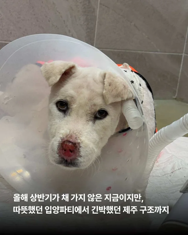 5월의 기적같은 나날 현장 사진