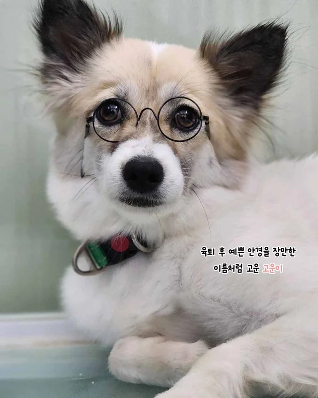 5월의 기적같은 나날 현장 사진