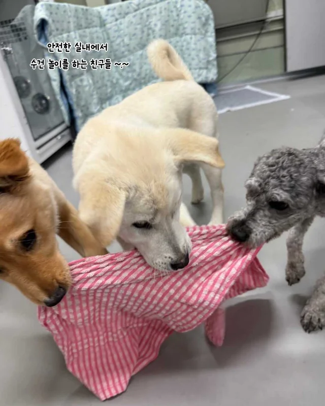 5월의 기적같은 나날 현장 사진