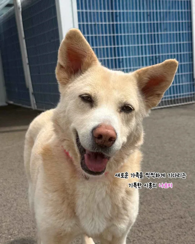 5월의 기적같은 나날 현장 사진
