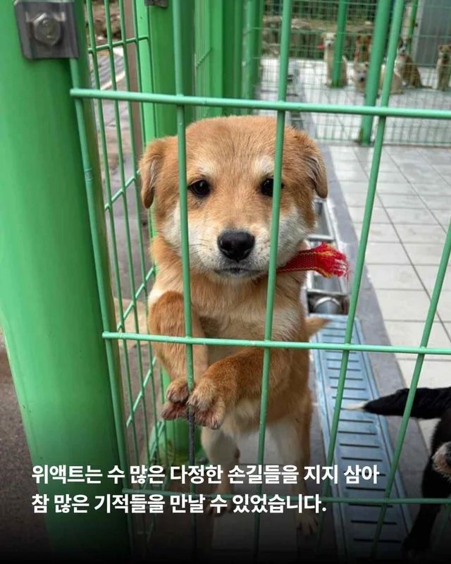 5월의 기적같은 나날 현장 사진