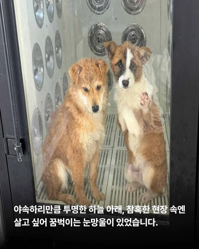 5월의 기적같은 나날 현장 사진