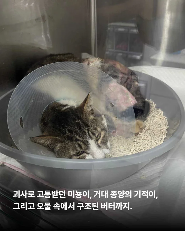 5월의 기적같은 나날 현장 사진