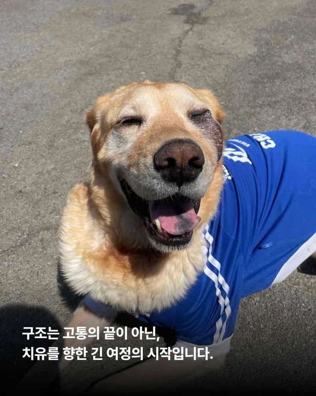 5월의 기적같은 나날 현장 사진
