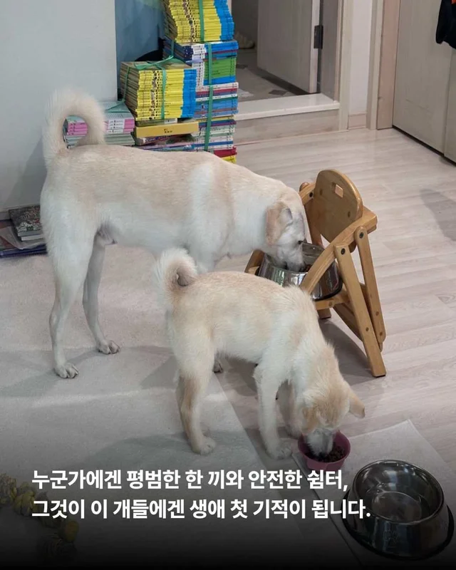 5월의 기적같은 나날 현장 사진