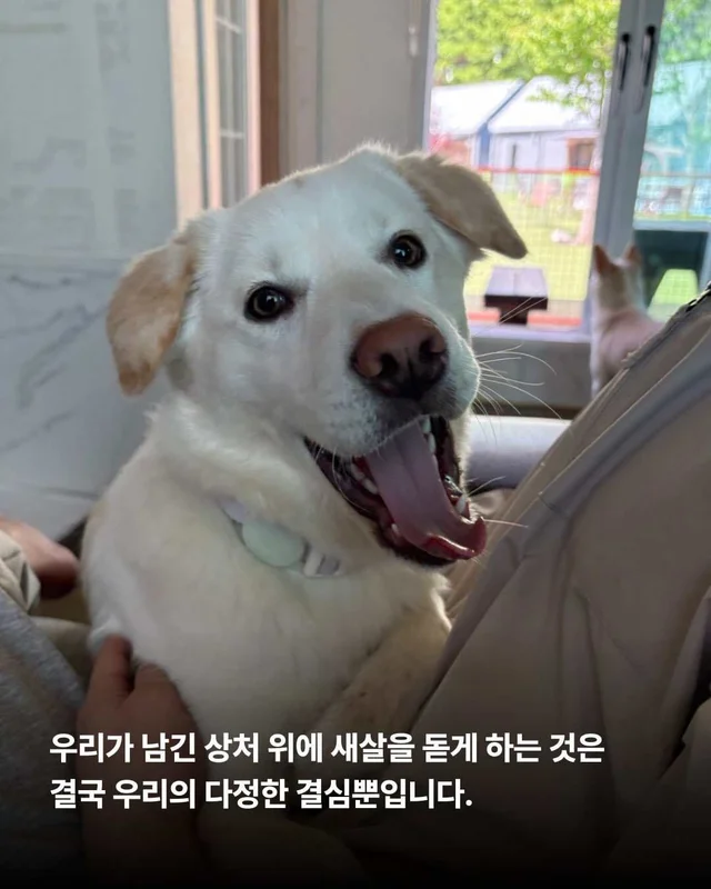 5월의 기적같은 나날 현장 사진