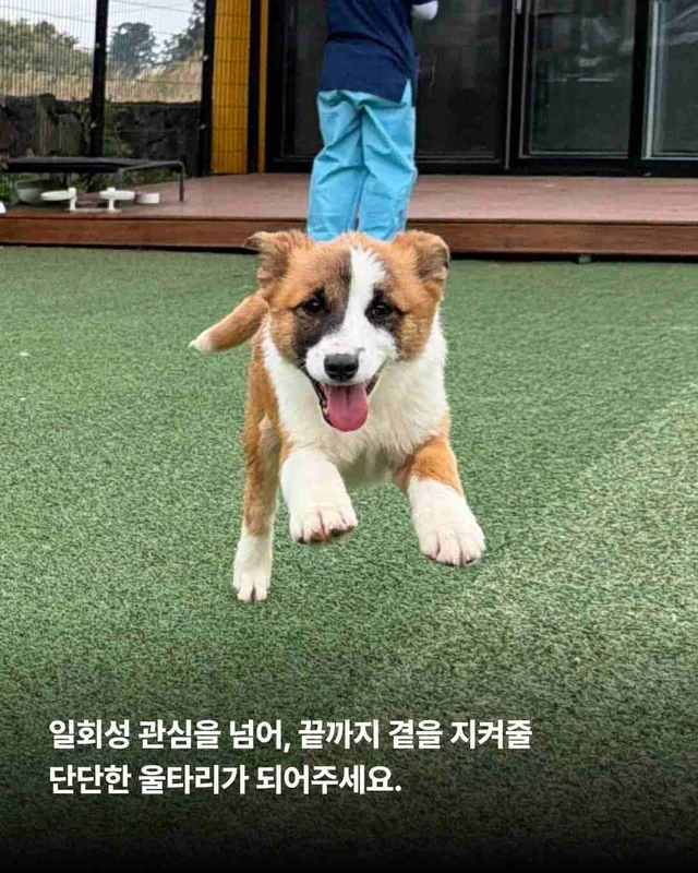 5월의 기적같은 나날 현장 사진