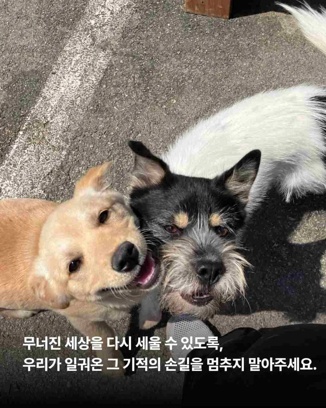 5월의 기적같은 나날 현장 사진