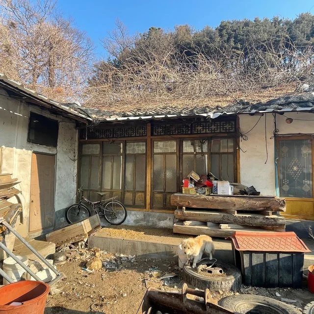 친구를먹을수밖에없던개 현장 사진