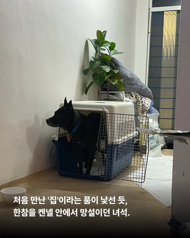 위풍당당 퀴니의 수줍은 어리광 #위액트퀴니 현장 사진