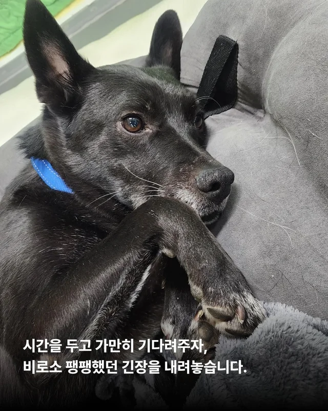 위풍당당 퀴니의 수줍은 어리광 #위액트퀴니 현장 사진