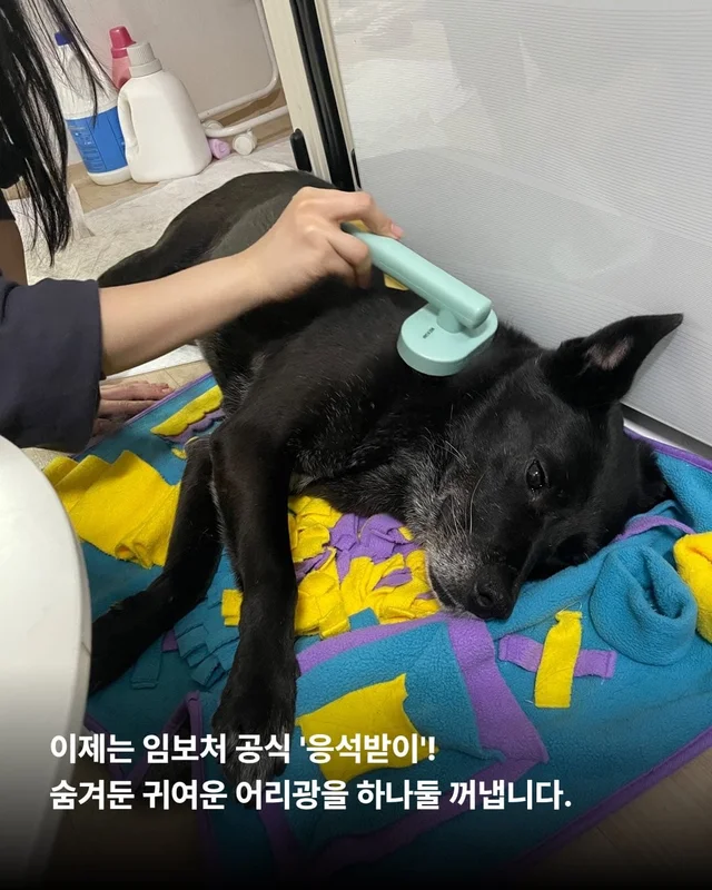 위풍당당 퀴니의 수줍은 어리광 #위액트퀴니 현장 사진