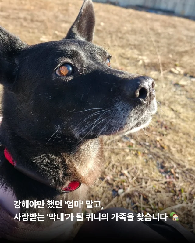위풍당당 퀴니의 수줍은 어리광 #위액트퀴니 현장 사진