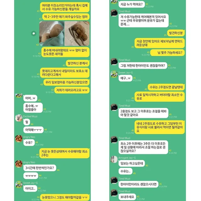 천안홍수피해 현장 사진