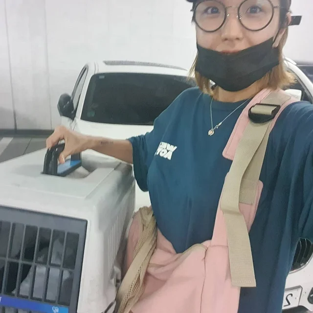 천안홍수피해 현장 사진