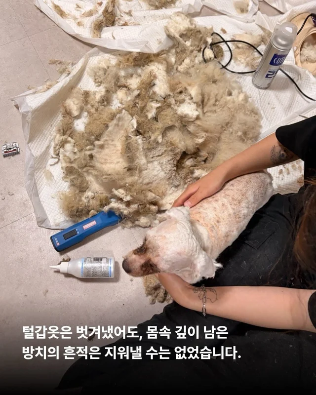 시골 엄마집, 그들에게 가장 쉬운 파양 현장 사진