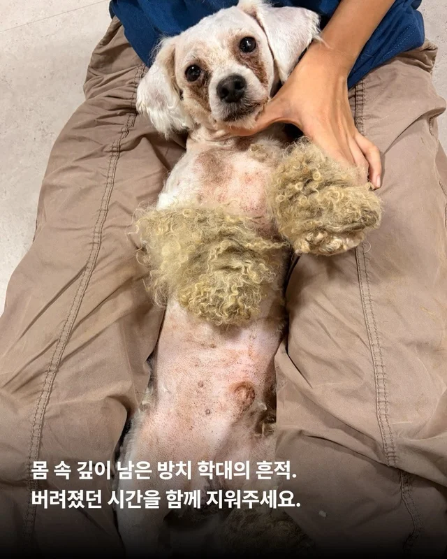 시골 엄마집, 그들에게 가장 쉬운 파양 현장 사진