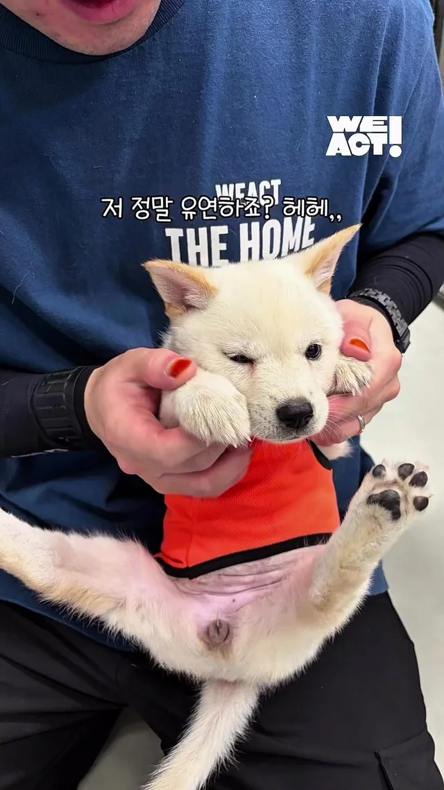 레임이 아기천사들의 가족을 찾아요 현장 사진