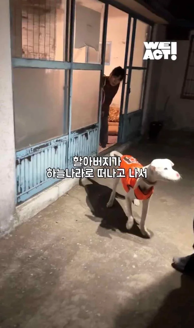 보고싶은 할아버지에게 현장 사진
