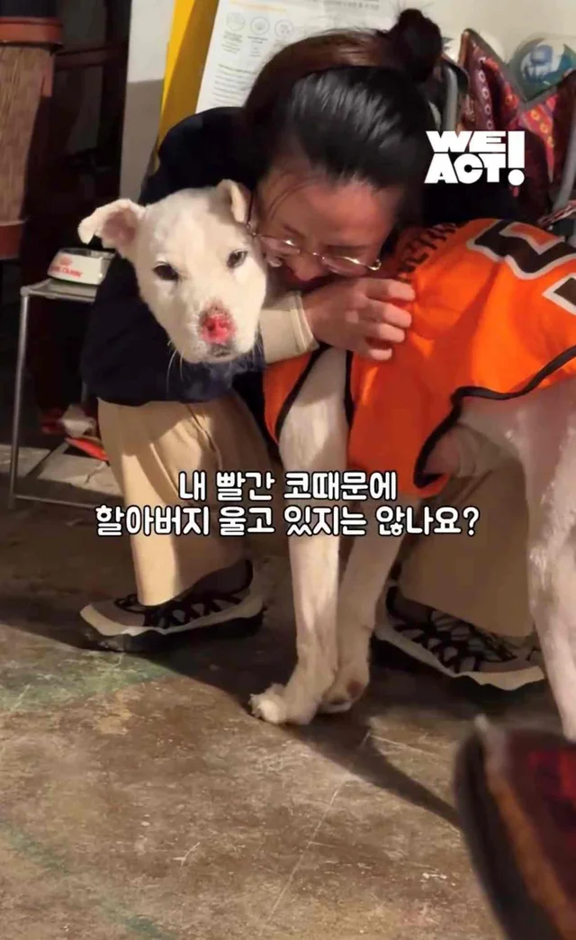 보고싶은 할아버지에게 현장 사진