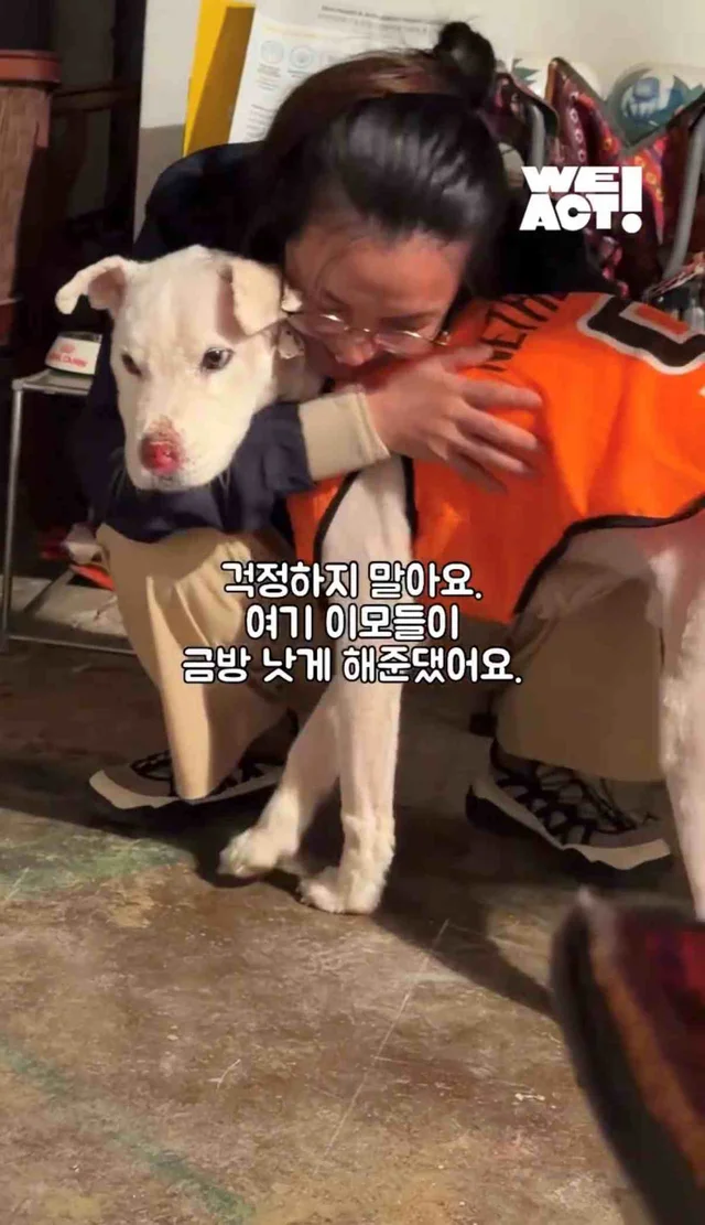 보고싶은 할아버지에게 현장 사진