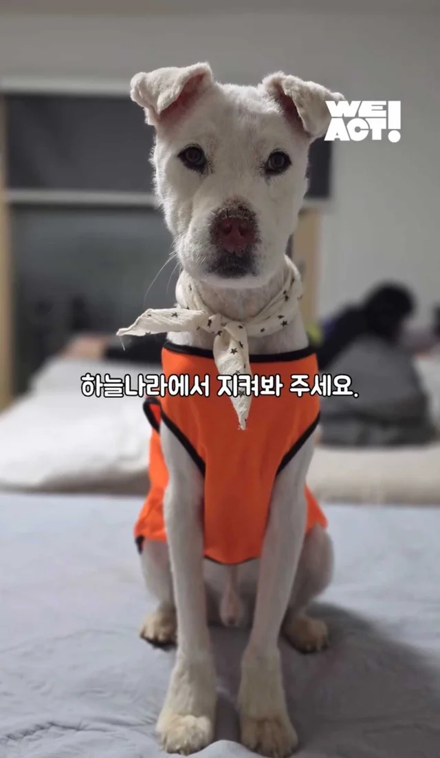 보고싶은 할아버지에게 현장 사진