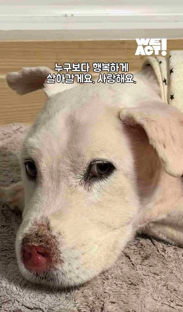 보고싶은 할아버지에게 현장 사진